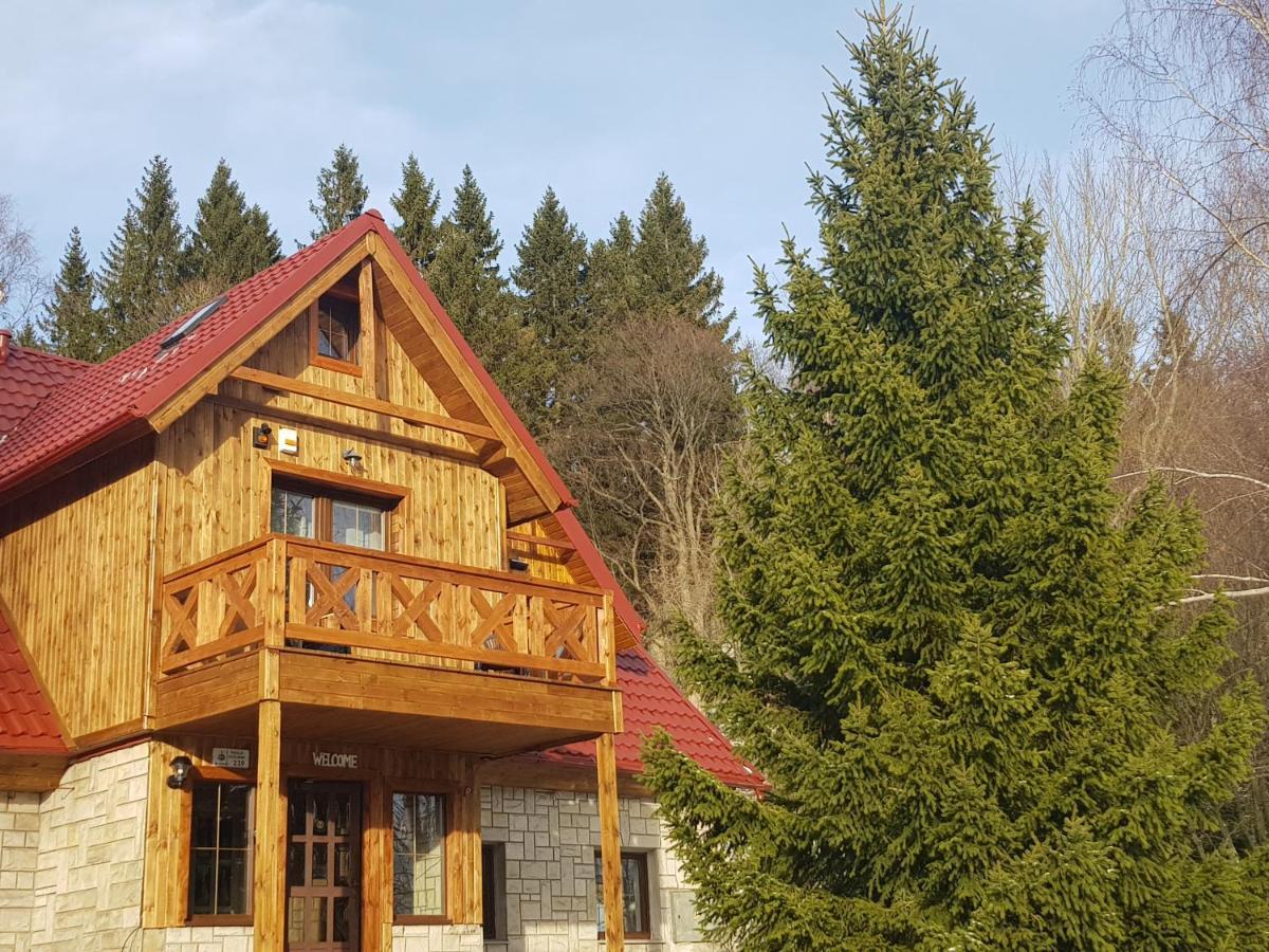 Czajka Bed & Breakfast Шклярска Поремба Екстериор снимка